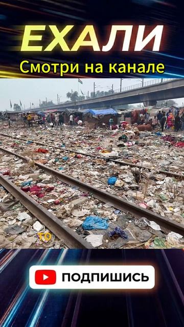 трущобы под мостом шортс