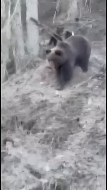 А меня то забыли !!!