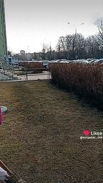 Катя Кики&Олька Шики