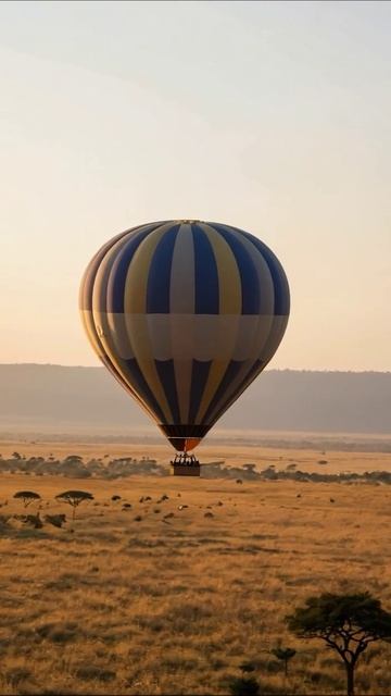 Восхитительный полет на воздушном шаре над саванной #воздушныйшар #путешествия #природа