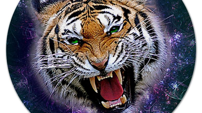 только для  взрослых