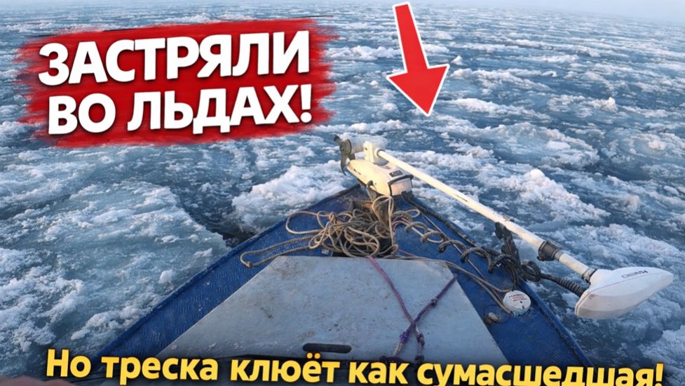 Edaf236d677278391fceb2cf00805dcb