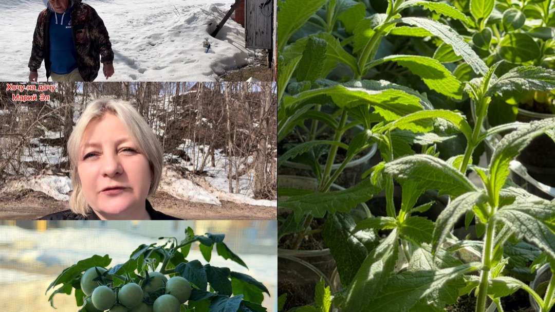 Съездили на дачу 28.03.26г.