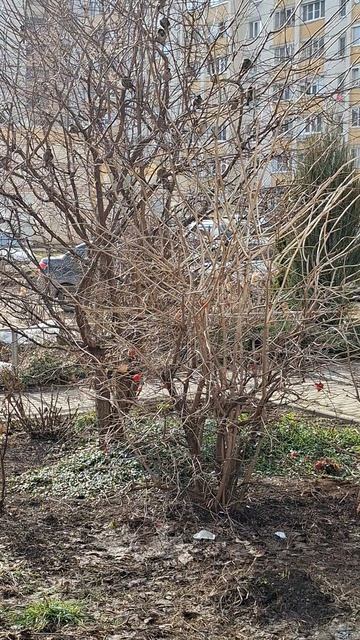 #весна😍😍😍