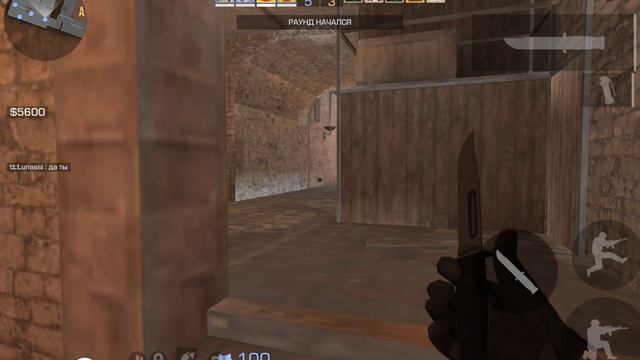 читер безмозглый