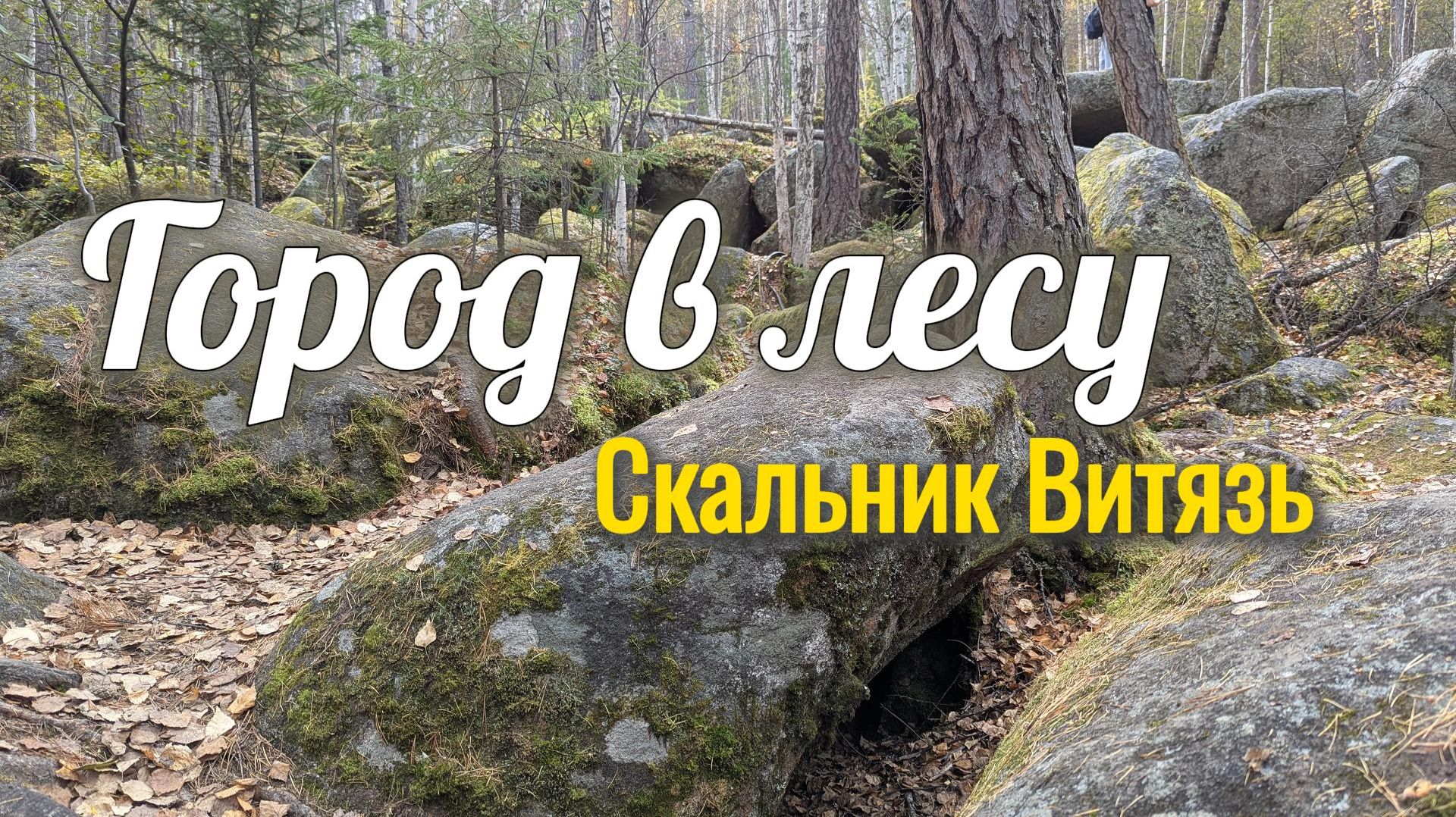 Город в лесу