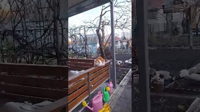 556b8945ba3e5854b92a7e04ed76d227