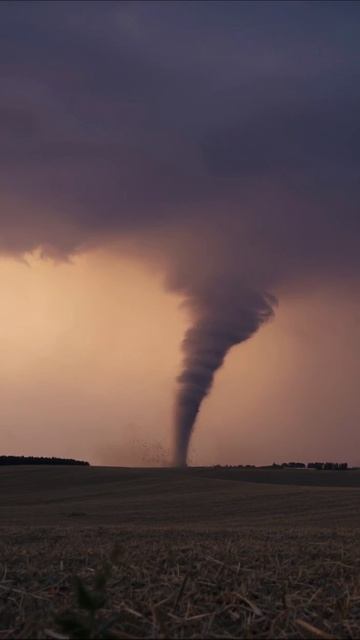 Ужасный торнадо в поле #природа #торнадо #времяислуг