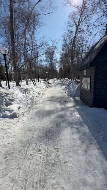 Новосибирск Весна Центральный парк Жилье Недвижимость Сибирь Купить квартиру в Новосибирске Сити154