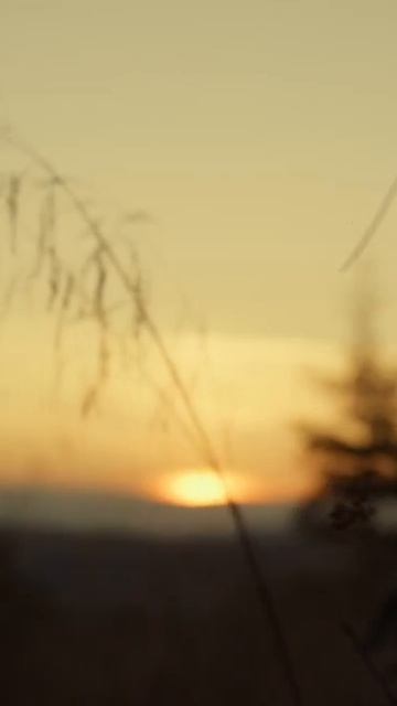 Начать новое #осознанность #мотивация #любовь #личность #психология #shorts