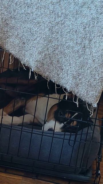 пирожок и старая булочка