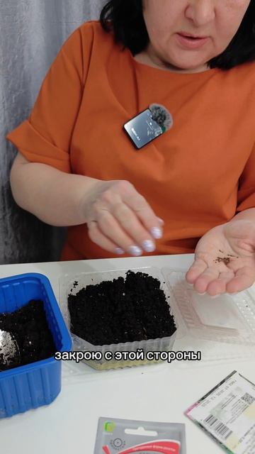 сею декоративную капусту.mp4