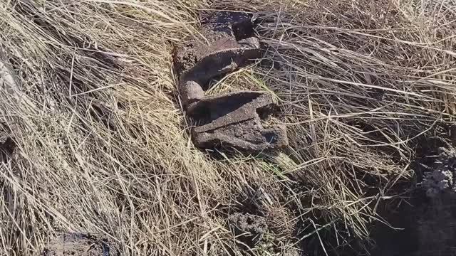 Металлокоп . Продолжаем искать в полях - кг. 25-30 нашли .