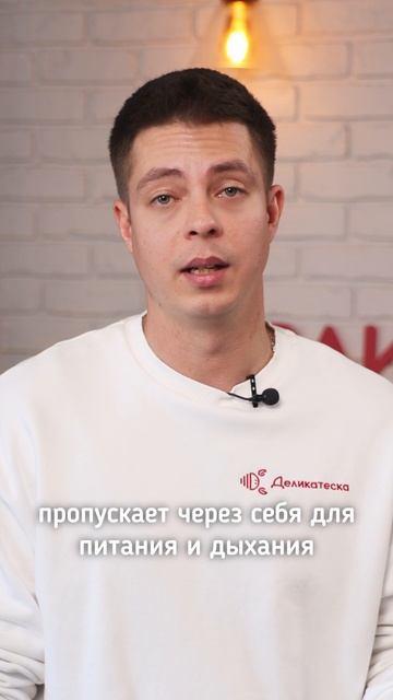 Устричный ликер! Пробовали?