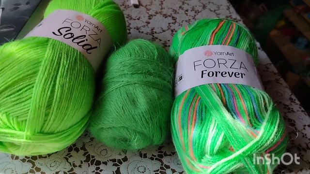 Участник 13. Отчёт по зелёной неделе в совместном проекте 