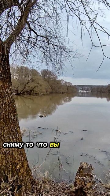 Уходим под ВОДУ 🌊Калужская область.
