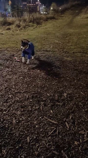 Саня Адидас