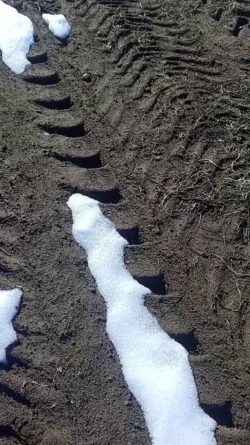 E042bc7e576cad1a851660c1f8cf29d8