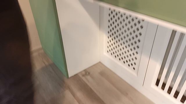 4. Приютили паука. Эзотерика. в такси. .mp4