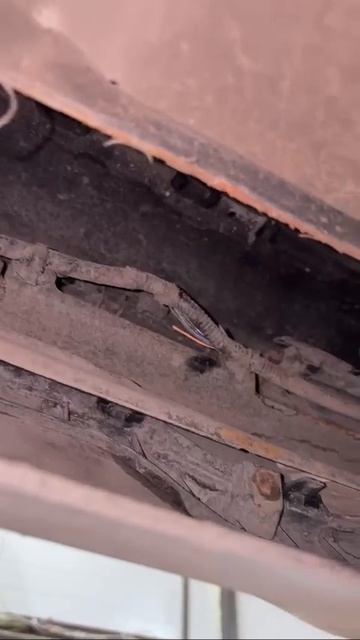 Маляр ТикТокер