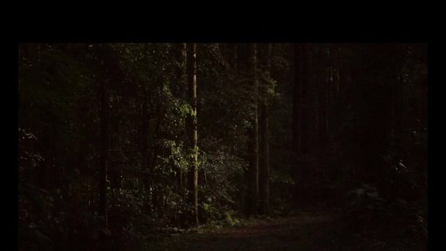 Исчезник-Ведьма