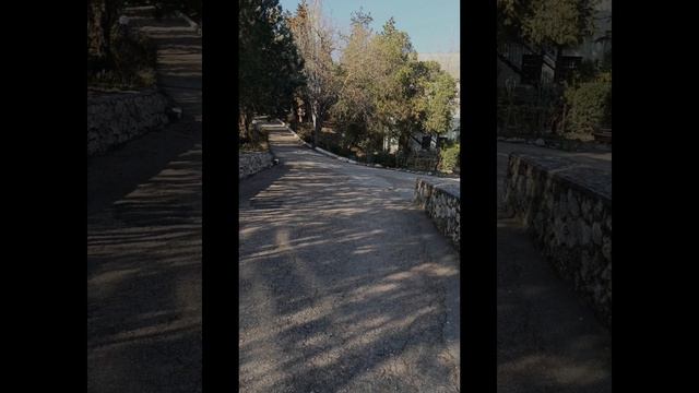 Коктебель + биостанция — места, которые стоит увидеть. 28.03.2026г. Крым