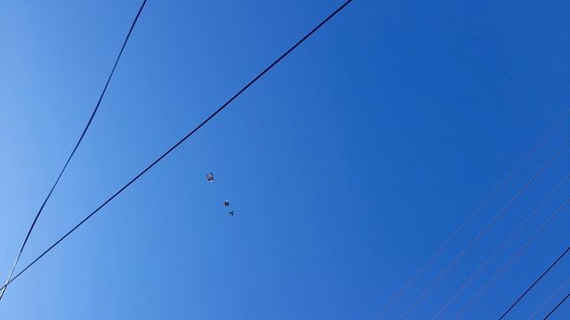 43cb0feb08f23898ea5c5531b813a556