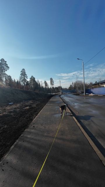 вспомнили Амелию Эрхарт