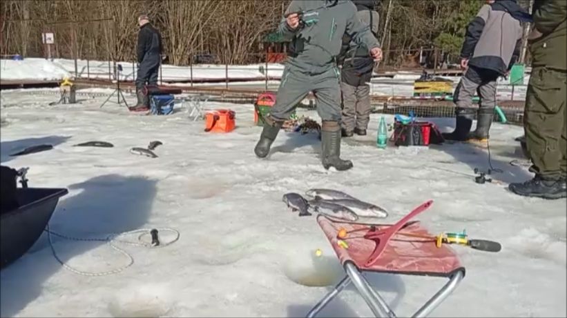 Поимки форели продолжаются. Спорт-зона. Клёвое место Лосиный остров.