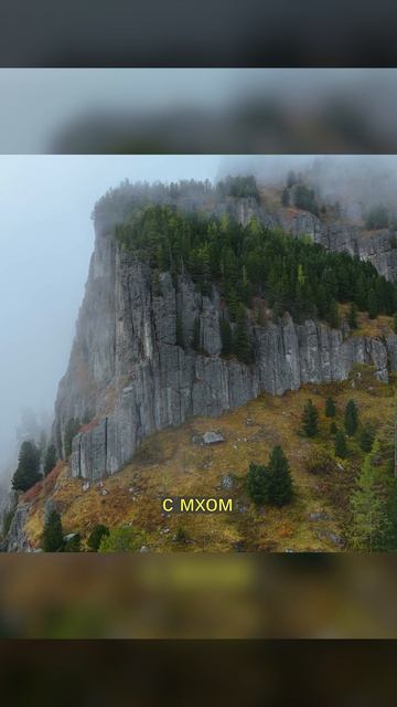 965c765ea054b07b06e9a7df5973010a