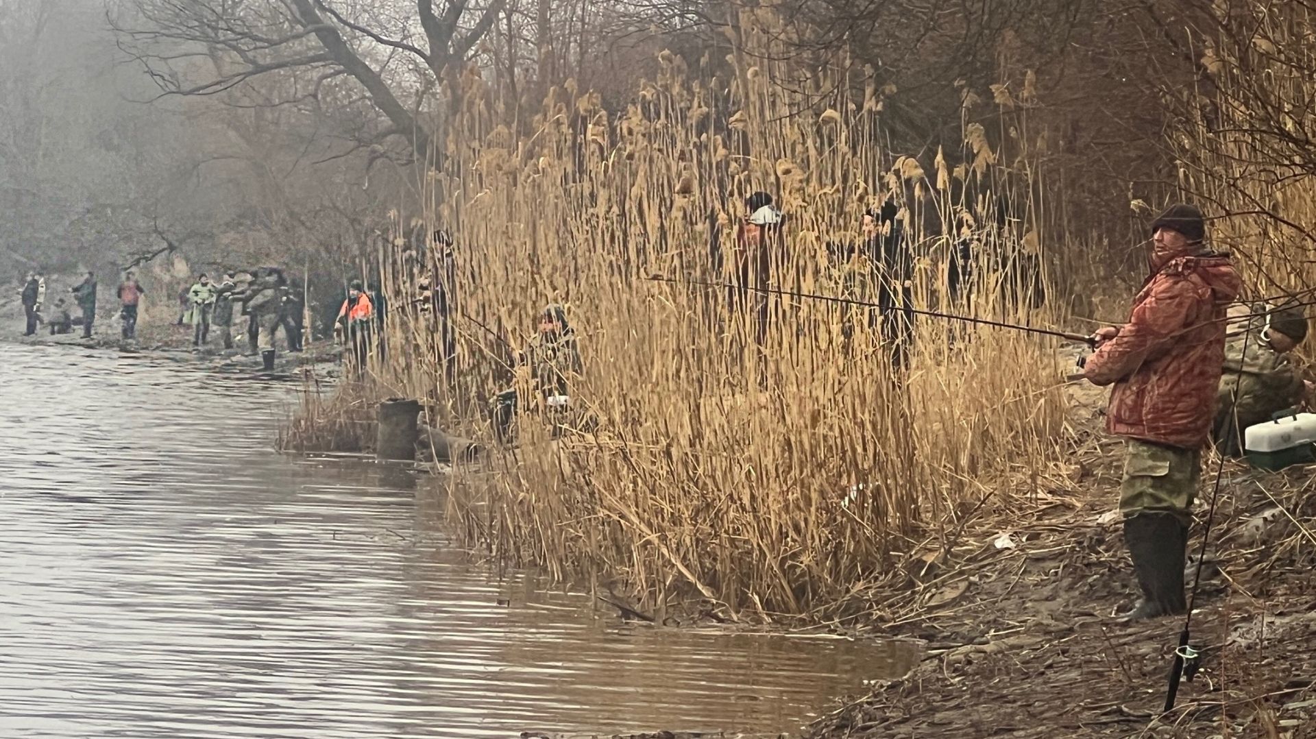 ОНИ ЗДЕСЬ СТОЯТ НЕ ПРОСТО ТАК! ТОЛПА РЫБАКОВ ЗАНЯЛА ВСЮ РЕКУ