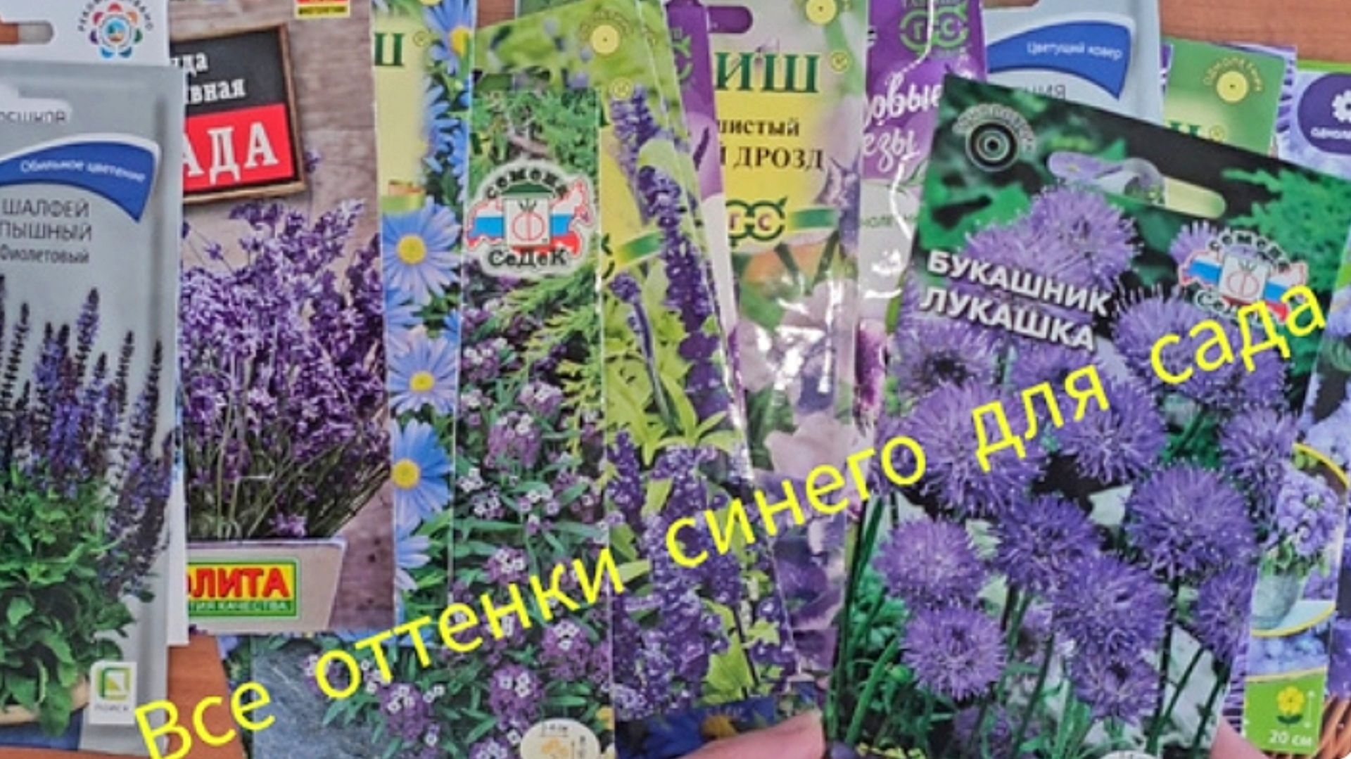 Цветы для сада в синих тонах. Цвет гармонии. Обзор семян.