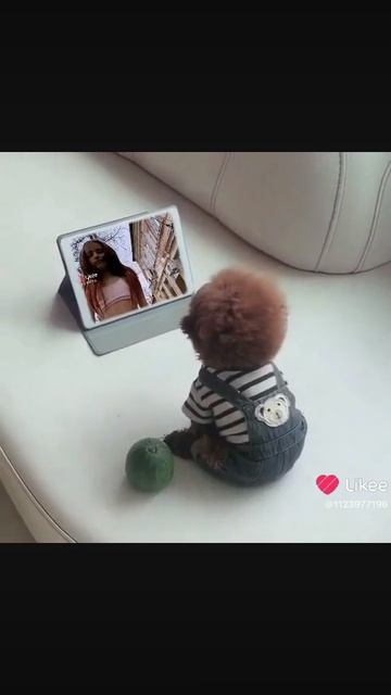 E1fd63c0fa98990ccf174a6570d12f1c