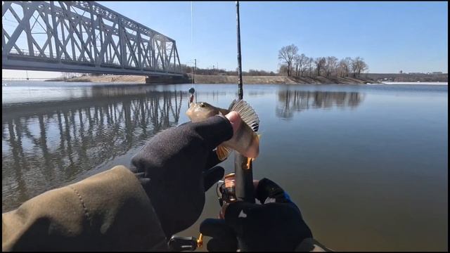 Весенний микроджиг на водохранилище.