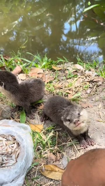 Поели и жизнь хороша 😎