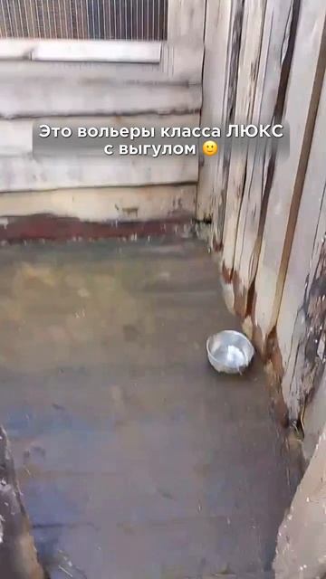 ВОЛЬРЫ ДЛЯ СОБАК АНАНДА