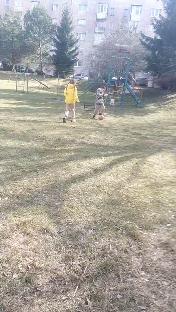 VID_20260330_142621.mp4