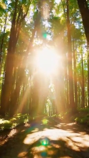 #share #comment #follow #subscribe