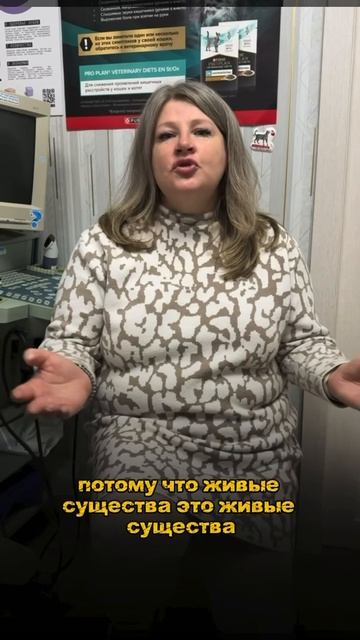 🏥 Как обеспечивается безопасность животного во время и после хирургического вмешательства❓