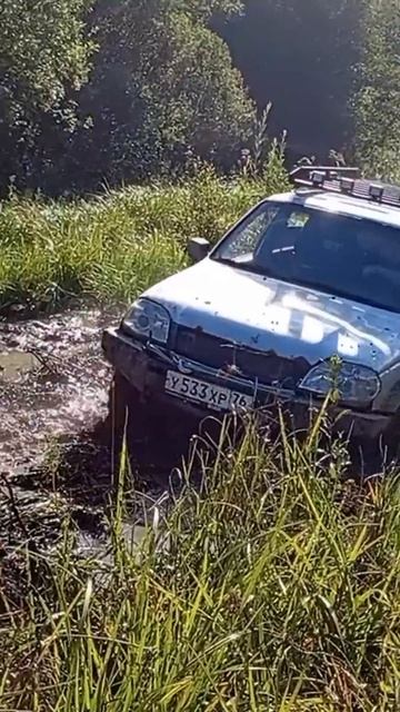 23 сентября 2025 г.