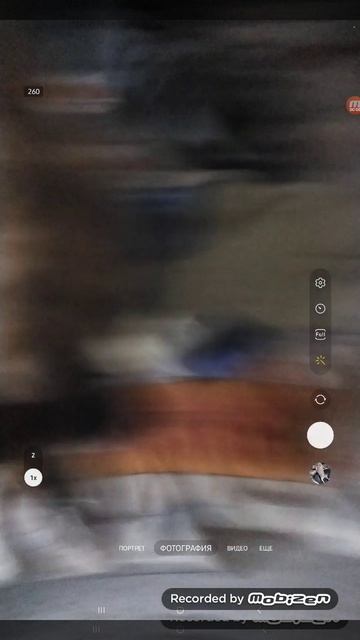 это собака меня Испугала