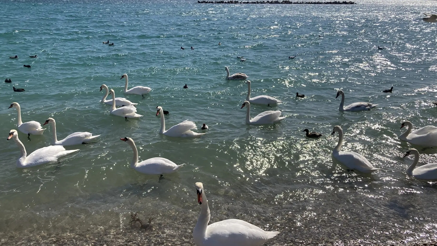 Крым, ЕВПАТОРИЯ, лебединное царство, Святоникольский храм