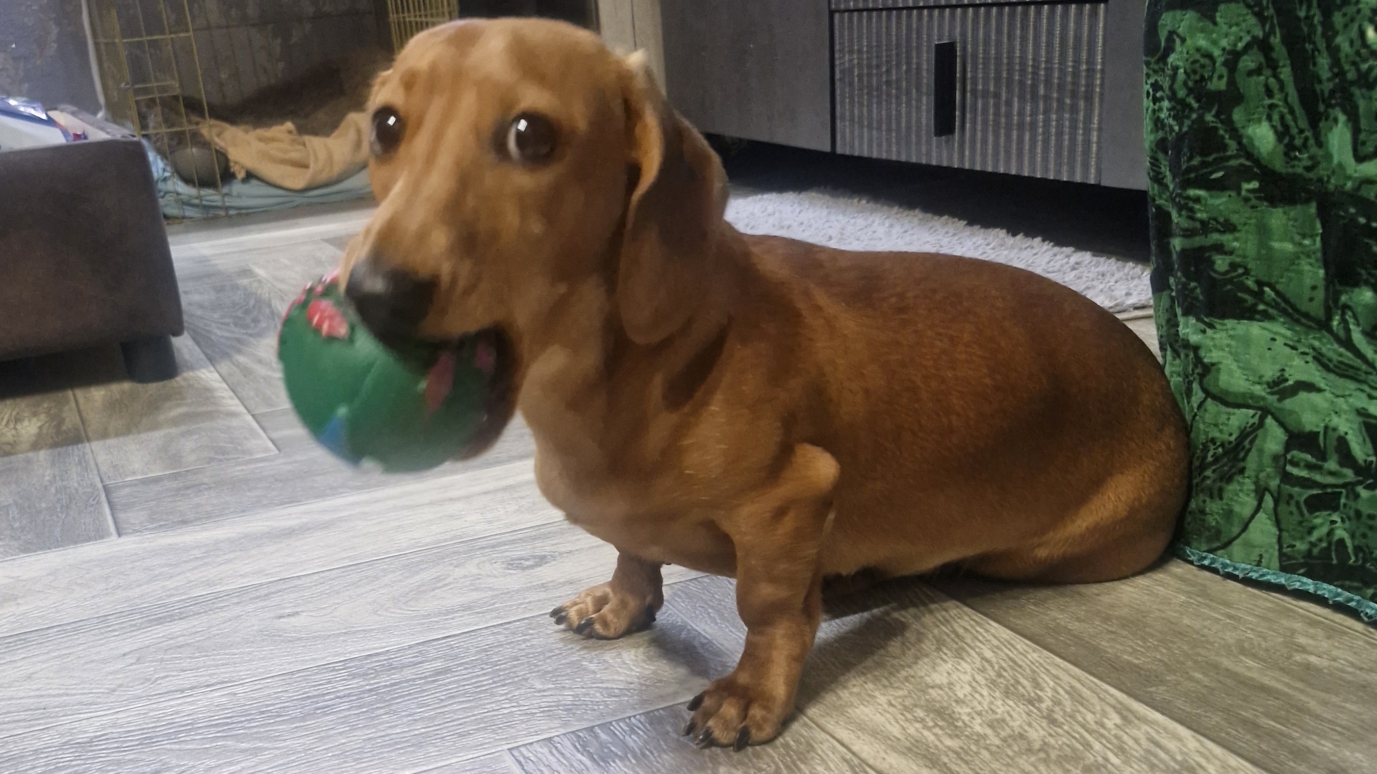 Играем с Вестой