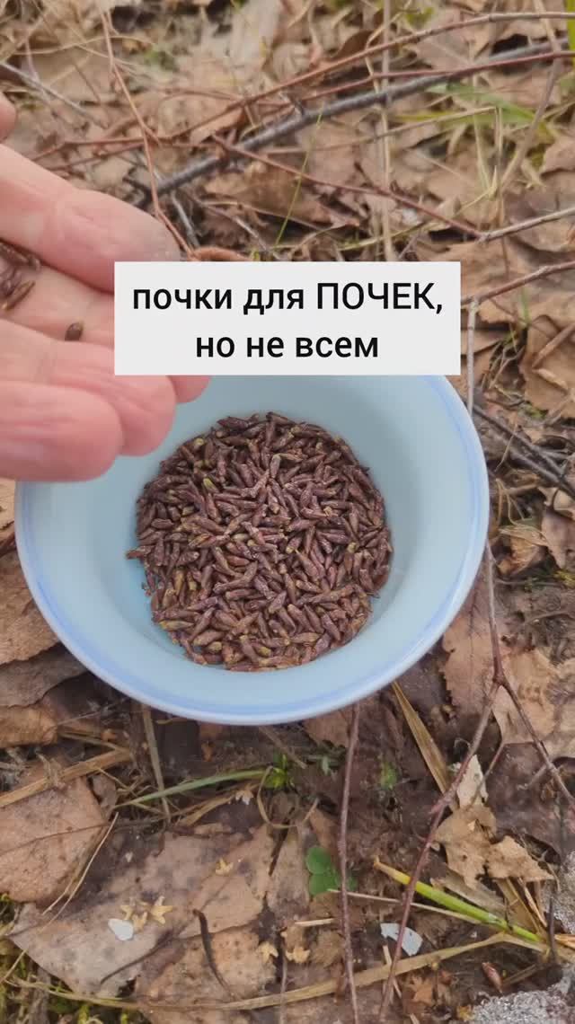 Почки для почек, но не для всех