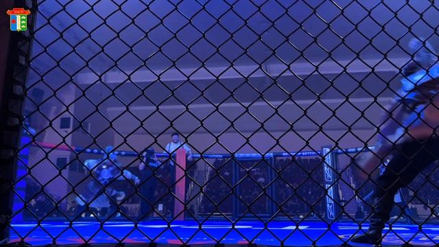 🔥БЕТСИТИ Fight Nights 135