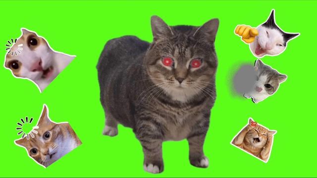 Мы с подписчиком из США встретили уииа