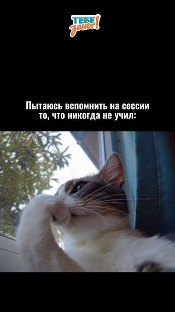 *В попытках создать собственную формулу*