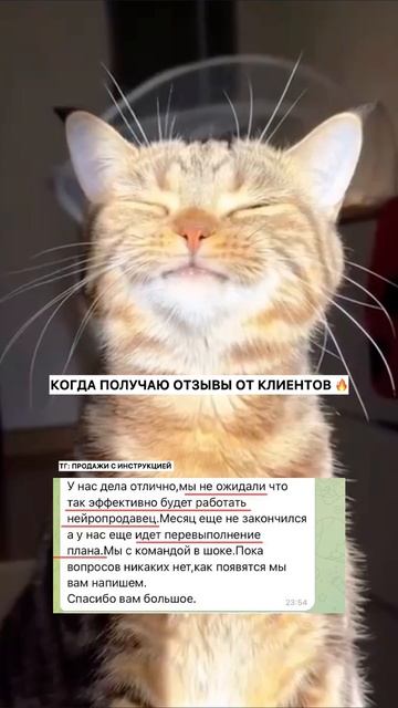 Протестируй бесплатно ии продавца для своего бизнеса здесь: Https://t.me/unisalesmen_bot