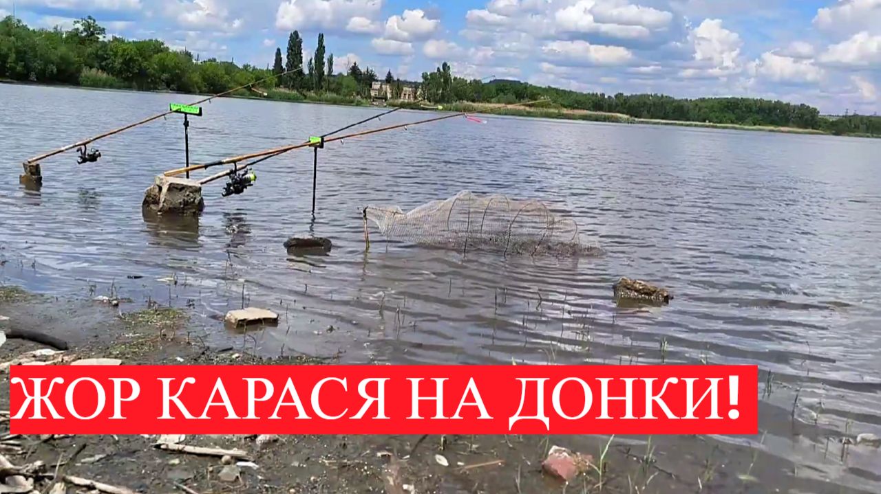 ЖОР КАРАСЯ ВЕСНОЙ! ЛОВЛЯ КАРАСЯ НА ДОНКИ. ЛУЧШПЯ ПРИКОРМКА НА КАРАСЯ! РЫБАЛКА 2026