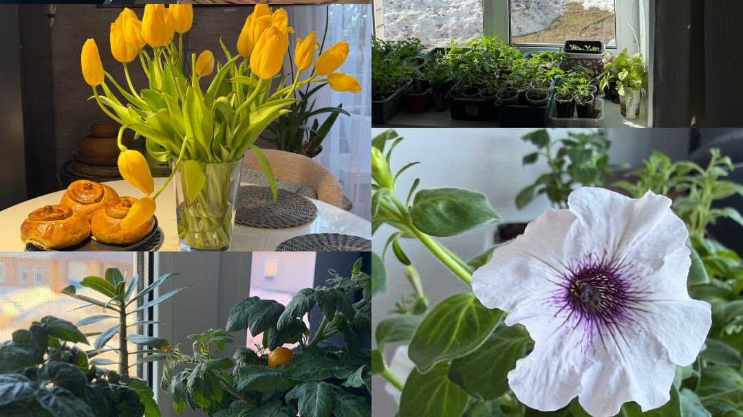 Как прошли наши выходные. Вкусняшка от Леши.